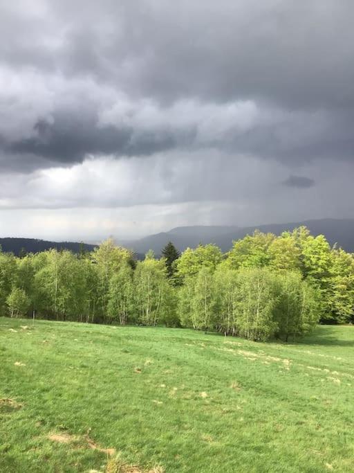 Domek Gorski Na Polanie Goryczkowej 700 M Npm - Szczyrk Dojazd Samochodem Terenowym, W Zimie Utrudniony - Wymagane Lancuchy المظهر الخارجي الصورة